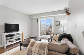 Photo 8: 304 117 19 Avenue NE in Calgary: Tuxedo Park Apartment for sale : MLS®# A2130812