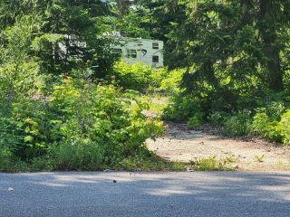 Photo 18: 206 ISLAND VIEW ROAD in Nakusp: Vacant Land for sale : MLS®# 2475414