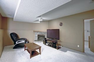 Photo 16: 384 Country Hills Place NW in Calgary: Country Hills Detached for sale : MLS®# A2003102