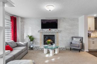 Photo 23: 28 Copperpond Parade SE in Calgary: Copperfield Detached for sale : MLS®# A2026045
