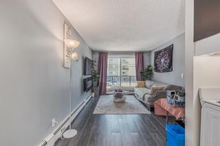 Photo 13: 206 1829 11 Avenue SW in Calgary: Sunalta Apartment for sale : MLS®# A2048820