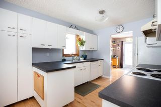 Photo 8: 309 Thibault Street in Winnipeg: St Boniface Residential for sale (2A)  : MLS®# 202008254