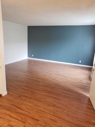 Photo 15: Property for sale: 4376 Rosebud Lane in La Mesa