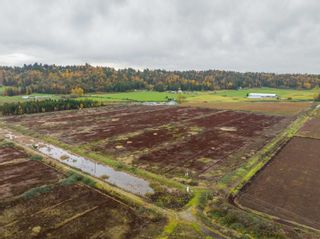 Photo 11: 8201 DYKE Road in Abbotsford: Bradner Agri-Business for sale : MLS®# C8055761