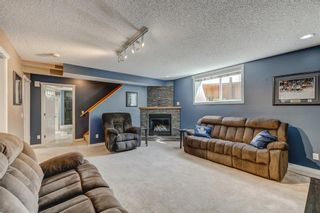 Photo 29: 128 Copperfield Close SE in Calgary: Copperfield Detached for sale : MLS®# A1246134