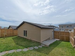 Photo 28: 264 RAINBOW FALLS Green: Chestermere House for sale : MLS®# C4116928