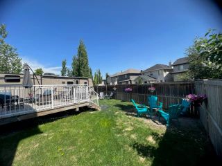 Photo 31: 44 New Brighton Link SE in Calgary: New Brighton Detached for sale : MLS®# A2048157