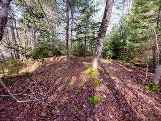 Photo 20: Lot Bowers Road in Lower Ohio: 407-Shelburne County Vacant Land for sale (South Shore)  : MLS®# 202302336