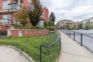 Photo 14: B201 20211 66 Avenue in Langley: Willoughby Heights Condo for sale in "Elements" : MLS®# R2412184