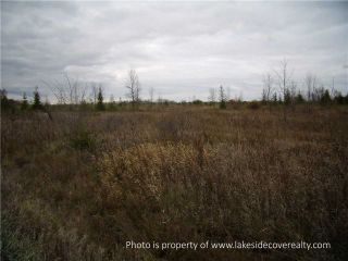 Photo 17: 2489 Concession Road 3 Road in Ramara: Brechin Property for sale : MLS®# X3371303