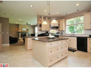 Photo 3: 2650 204 Street in Langley: Brookswood Langley House for sale in "South Langley/Fernridge" : MLS®# F1209267