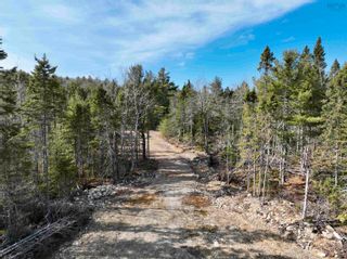 Photo 6: New Grafton Road in New Grafton: 406-Queens County Vacant Land for sale (South Shore)  : MLS®# 202406944