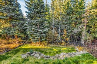 Photo 47: 47 Discovery Ridge Point SW in Calgary: Discovery Ridge Detached for sale : MLS®# A1100420