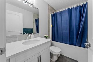 Photo 18: 26 Walcrest Way SE in Calgary: Walden Detached for sale : MLS®# A2122748