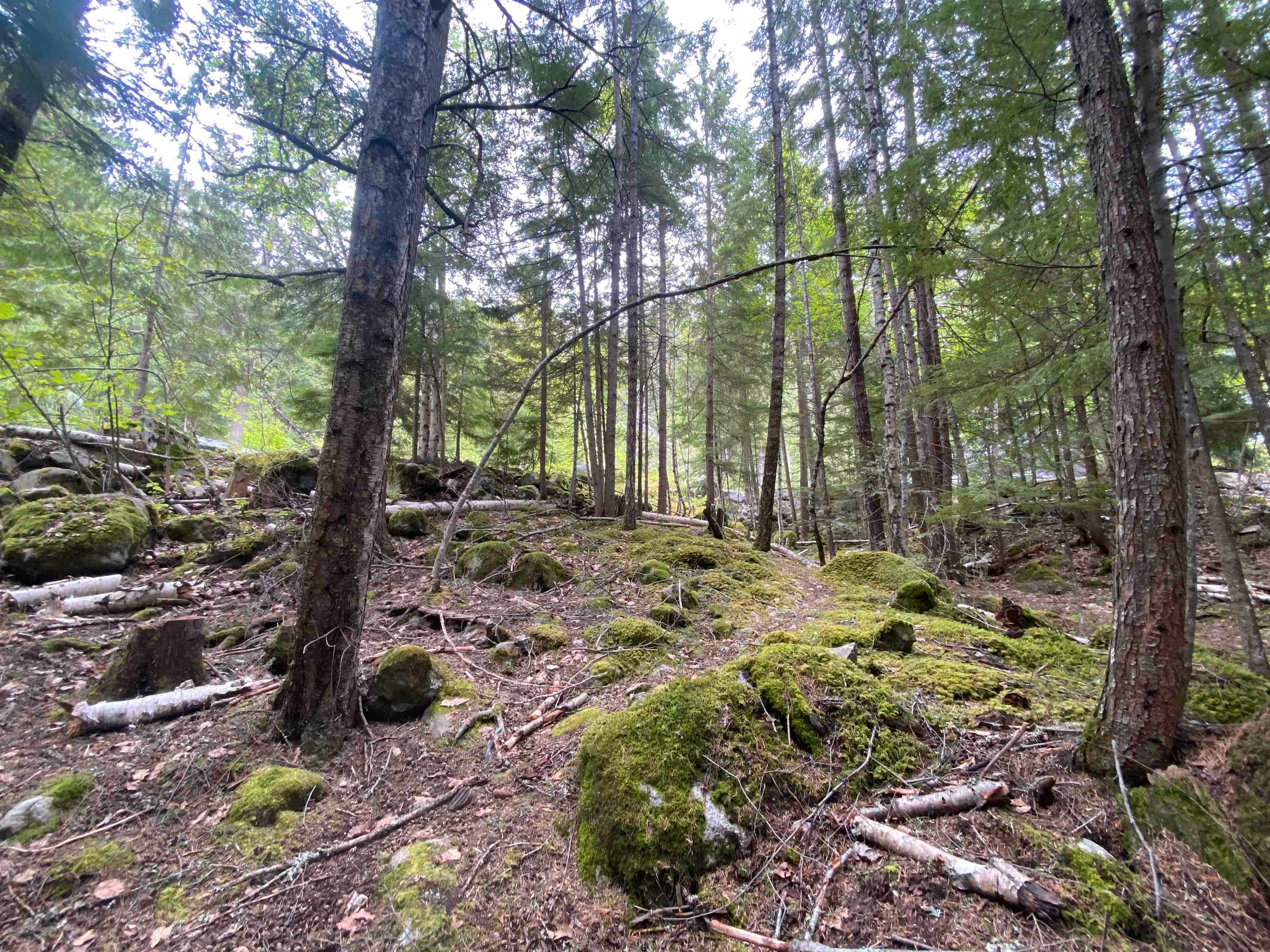 Main Photo: LOT 96 6500 IN-SHUCK-CH FOREST SERVICE Road in Mount Currie: Lillooet Lake Land for sale in "LILLOOET LAKE ESTATES" (Pemberton)  : MLS®# R2701773
