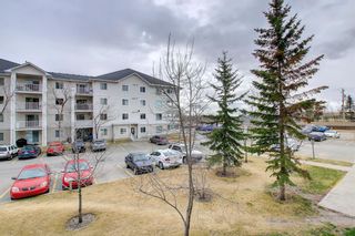Photo 28: 2202 6224 17 Avenue SE in Calgary: Red Carpet Apartment for sale : MLS®# A1203764