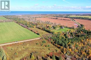 Photo 14: ACREAGE Rte 336 in Cable Head West: Vacant Land for sale : MLS®# 202322862
