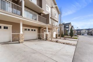 Photo 27: 53 Skyview Ranch Manor NE in Calgary: Skyview Ranch Row/Townhouse for sale : MLS®# A2123726
