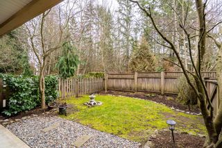 Photo 32: 19 20966 77A Avenue in Langley: Willoughby Heights Townhouse for sale in "Nature's Walk" : MLS®# R2754175
