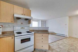Photo 6: 3202 2280 68 Street NE in Calgary: Monterey Park Apartment for sale : MLS®# A2078493
