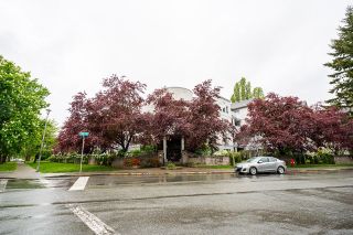 Photo 4: 211 5465 201 Street in Langley: Langley City Condo for sale in "Briarwood" : MLS®# R2878971