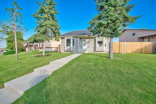 Photo 35: 108 TEMPLEMONT Circle NE in Calgary: Temple Detached for sale : MLS®# A1019637