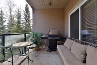 Photo 12: 335 10 Discovery Ridge Close SW in Calgary: Discovery Ridge Apartment for sale : MLS®# A2018201