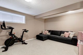 Photo 24: 181 Spring Crescent SW in Calgary: Springbank Hill Detached for sale : MLS®# A1258107