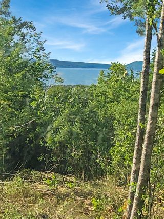 Photo 2: Lot Highway 101 in Smiths Cove: Digby County Vacant Land for sale (Annapolis Valley)  : MLS®# 202216443
