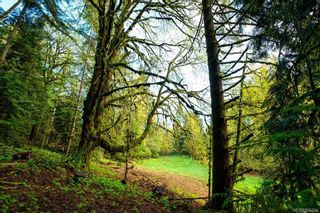 Photo 18: Parcel A Lot 11 Thain Rd in Cobble Hill: ML Cobble Hill Land for sale (Malahat & Area)  : MLS®# 956224