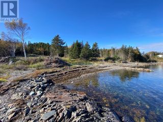 Photo 10: 9 Birchy Point in Campbellton: Vacant Land for sale : MLS®# 1267730