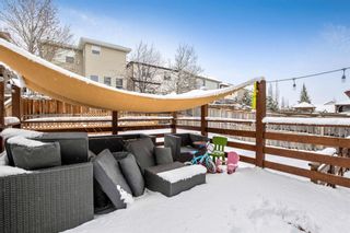 Photo 36: 94 Evansbrooke Way NW in Calgary: Evanston Detached for sale : MLS®# A1209242