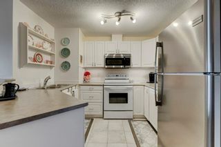 Photo 7: 236 428 Chaparral Ravine View SE in Calgary: Chaparral Apartment for sale : MLS®# A2039219