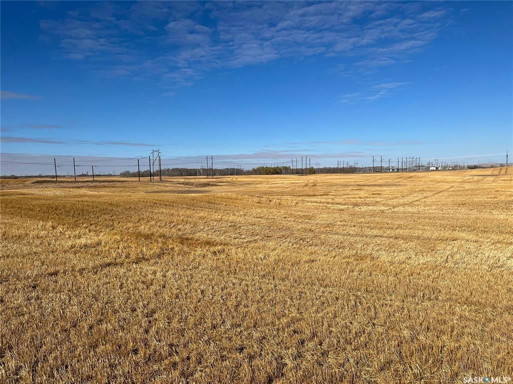 Main Photo: RM of Spy Hill Land #2 in Spy Hill: Farm for sale (Spy Hill Rm No. 152)  : MLS®# SK911555