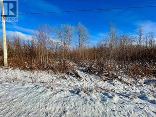 Photo 4: 168 Collins Lake RD in Shemogue: Vacant Land for sale : MLS®# M156264