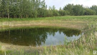 Photo 13: 54228 RR 245: Rural Sturgeon County Vacant Lot/Land for sale : MLS®# E4375925