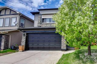 Photo 30: 48 Chapalina Manor SE in Calgary: Chaparral Detached for sale : MLS®# A2140495