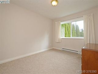Photo 17: 3459 Waterloo Pl in VICTORIA: SE Mt Tolmie House for sale (Saanich East)  : MLS®# 755573
