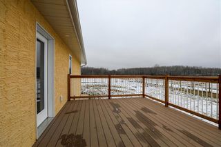 Photo 29: 24056 23 Road East in Grunthal: R17 Residential for sale : MLS®# 202106402