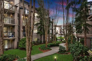 Photo 15: 210A 2615 JANE Street in Port Coquitlam: Central Pt Coquitlam Condo for sale in "BURLEIGH GREEN" : MLS®# R2340367