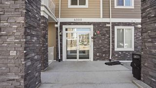 Photo 43: 4303 522 Cranford Drive SE in Calgary: Cranston Apartment for sale : MLS®# A2123266