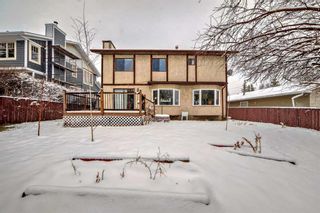 Photo 34: 7 Hawksley Crescent NW in Calgary: Hawkwood Detached for sale : MLS®# A2120634