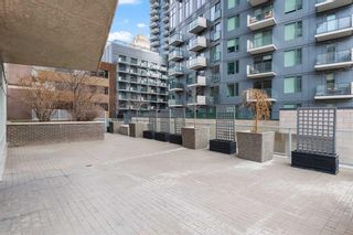 Photo 18: 205 530 12 Avenue SW in Calgary: Beltline Apartment for sale : MLS®# A2120177