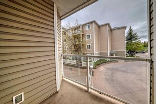 Photo 15: 211 260 Shawville Way SE in Calgary: Shawnessy Apartment for sale : MLS®# A2129170