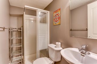 Photo 32: 509 Copperfield Boulevard SE in Calgary: Copperfield Detached for sale : MLS®# A1176612