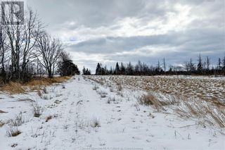 Photo 25: Lot Route 960 in Cape Spear: Vacant Land for sale : MLS®# M157349