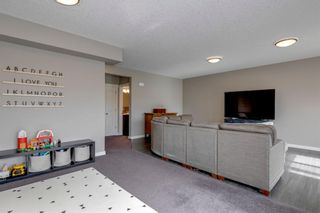 Photo 40: 119 Chaparral Valley Way SE in Calgary: Chaparral Detached for sale : MLS®# A1226880
