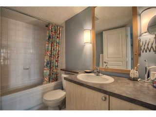 Photo 11: 213 25 RICHARD Place SW in CALGARY: Lincoln Park Condo for sale (Calgary)  : MLS®# C3631950