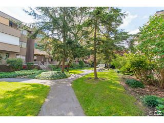 Photo 15: 21 2441 KELLY Avenue in Port Coquitlam: Central Pt Coquitlam Condo for sale : MLS®# V1120570
