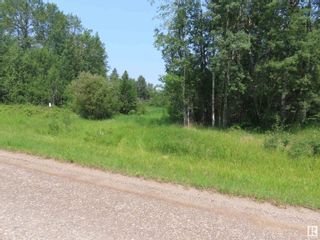 Photo 11: 55209 Range Road 35: Rural Lac Ste. Anne County Vacant Lot/Land for sale : MLS®# E4348716